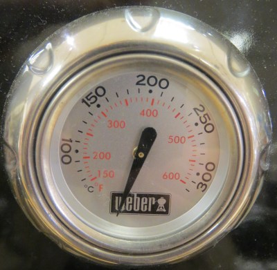 Dual_Thermometer_Dial